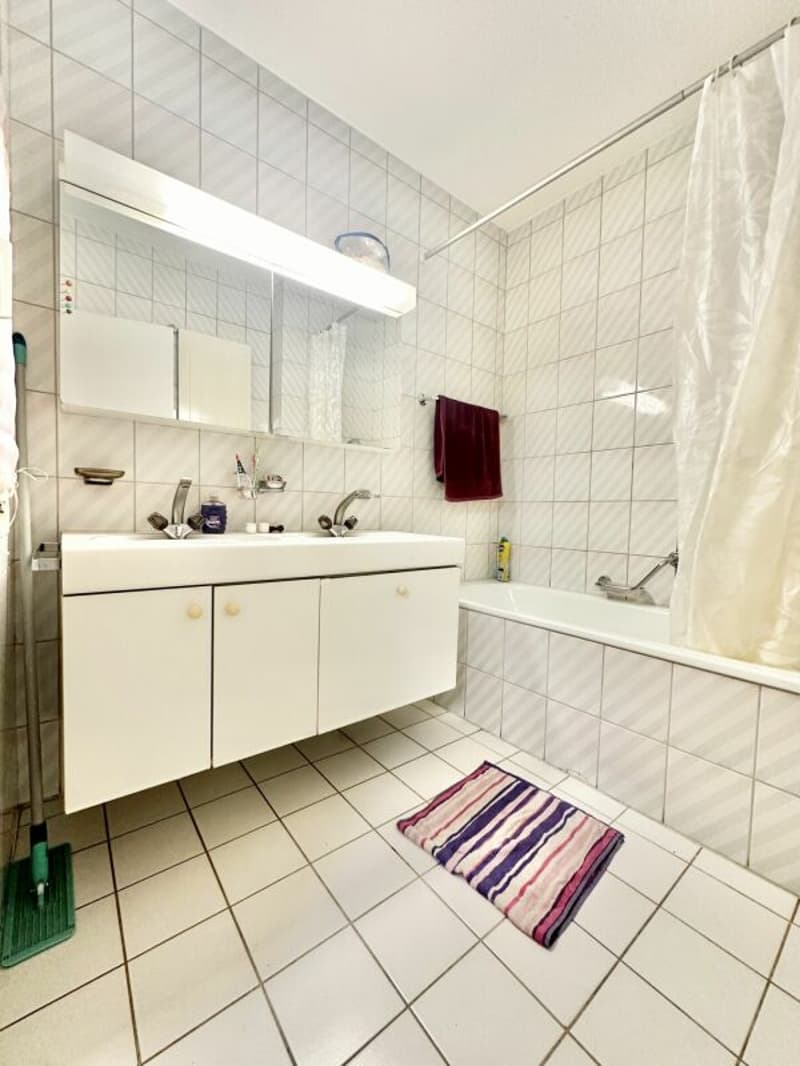 Charming Multi-Family House in Burgdorf (18)