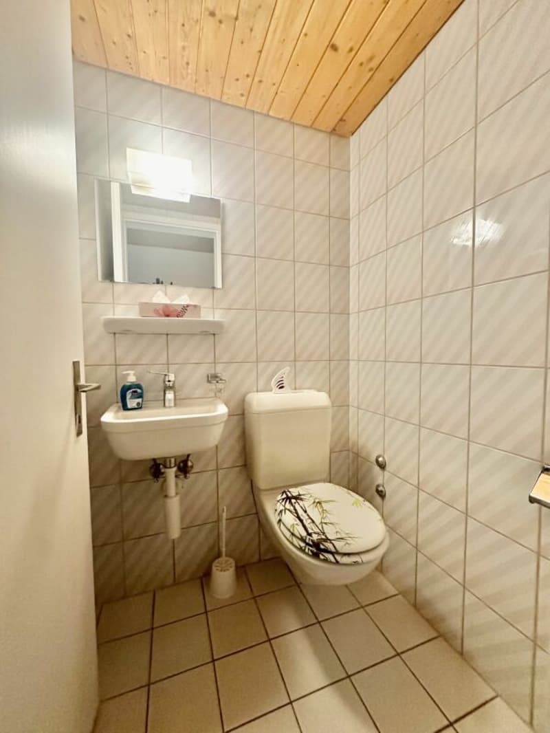 Maison de plusieurs familles charmante à Burgdorf (12)