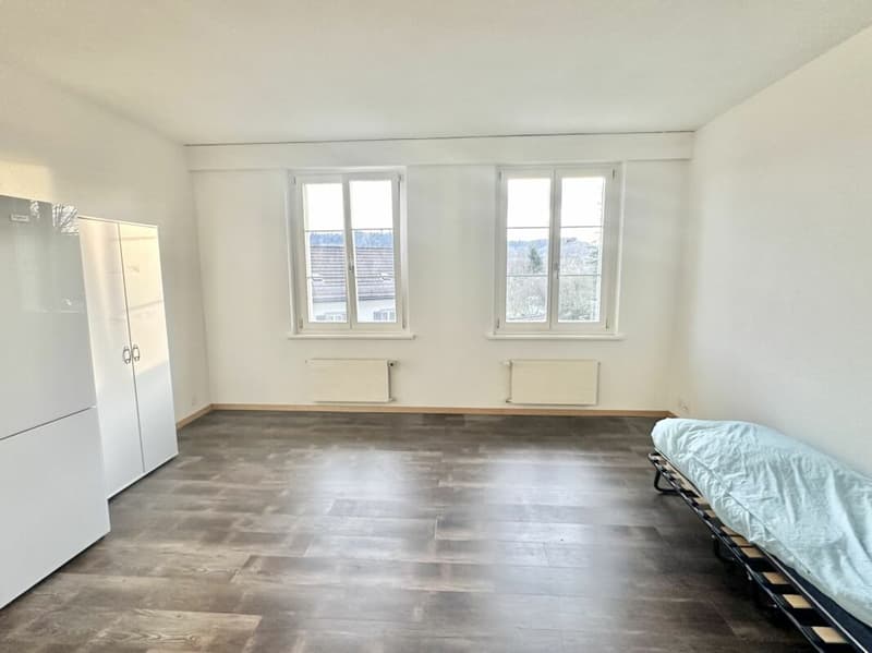 Maison de plusieurs familles charmante à Burgdorf (21)