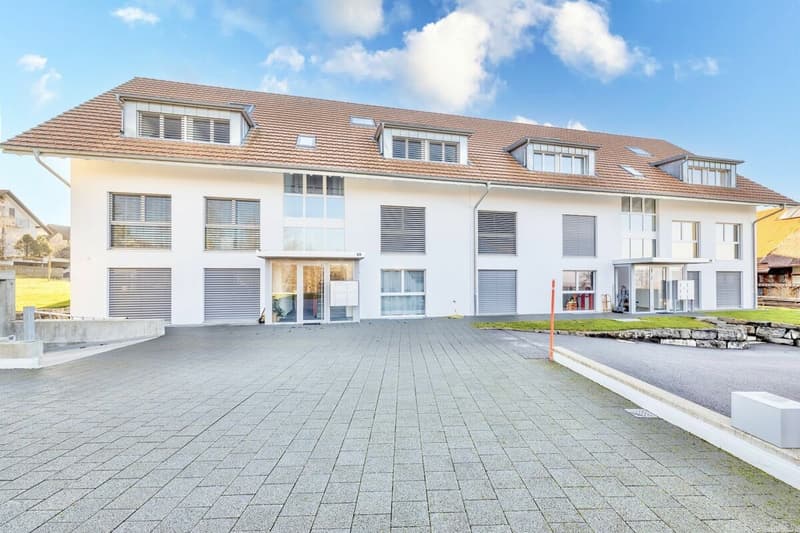 Appartamento unico di 5,5 locali con galleria (14)