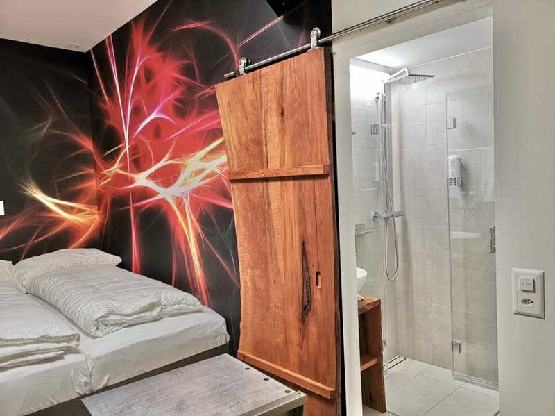 Investing in Character: Boutique Hotel or Multi-Family House (6)