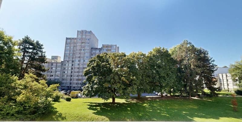 Over CHF 2,000.- monthly net cash flow: Fully rented 4.5-room apartment with 5% gross return (building right) (10)