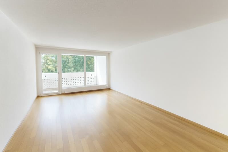 Over CHF 2,000.- monthly net cash flow: Fully rented 4.5-room apartment with 5% gross return (building right) (3)
