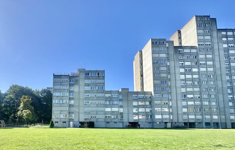 Over CHF 2,000.- monthly net cash flow: Fully rented 4.5-room apartment with 5% gross return (building right) (9)