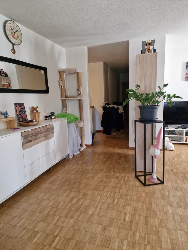 Charmant appartement 4.5 pièces au rez-de-chaussée avec balcon à Orpund (2)
