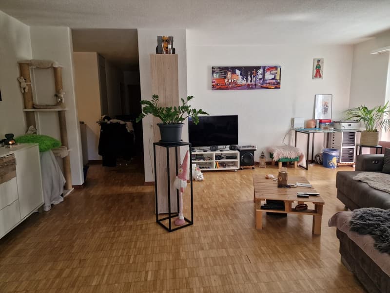 Charmant appartement 4.5 pièces au rez-de-chaussée avec balcon à Orpund (3)