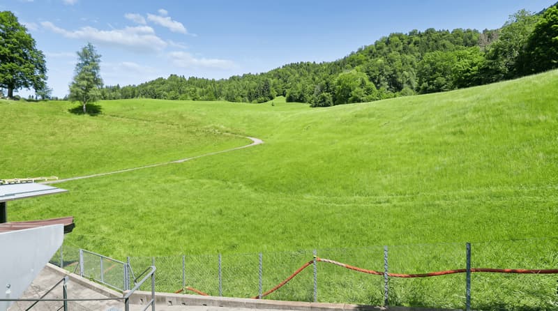 Lake Ägeri waterfront location: breathtaking lake view and 129 m² balcony/outdoor area (13)