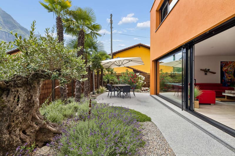 Maison neuve avec jardin méditerranéen (6)