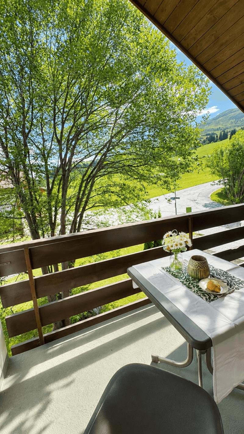 Möbliertes Ferien-Studio mit Ski-in, Balkon und Parkplatz (7)