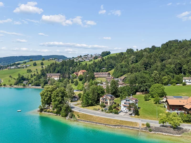 Vollvermietetes Dreifamilienhaus am Ägerisee - Potenzial für Ersatzneubau (3)
