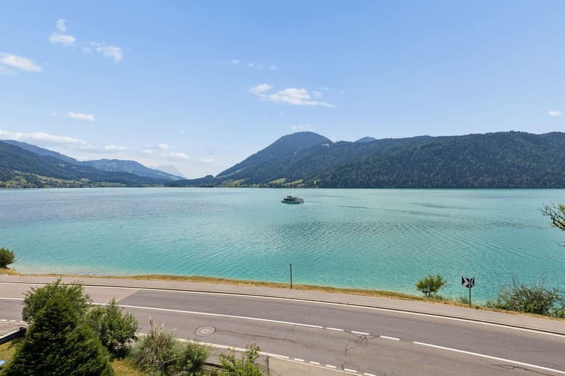 Vollvermietetes Dreifamilienhaus am Ägerisee - Potenzial für Ersatzneubau (9)