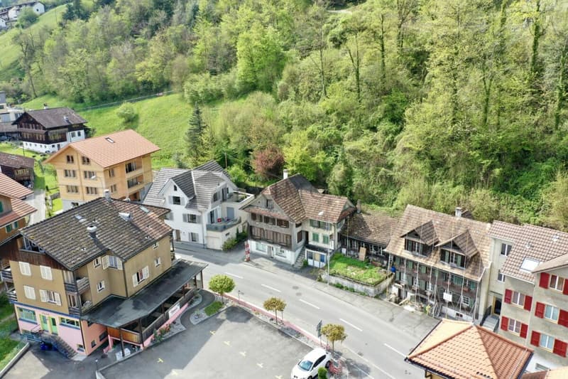 Renovation project with charm and history (1)