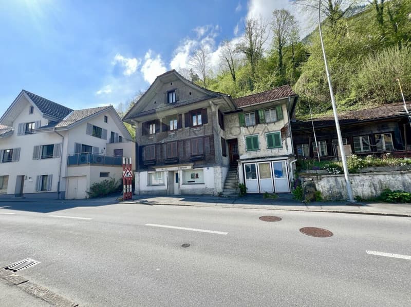 Renovation project with charm and history (3)