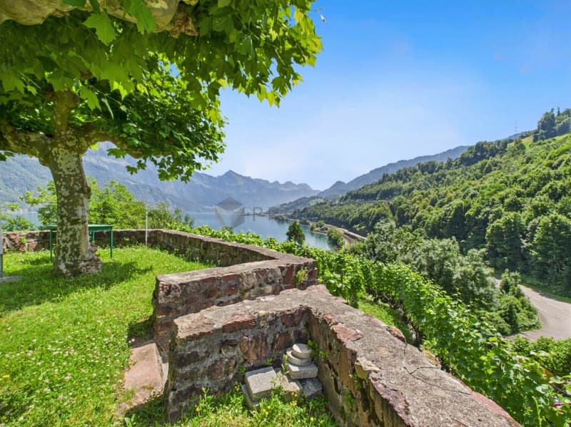 Hotel & Ristorante con appartamenti, vigneto e terreno edificabile in posizione premium sul lago di Walensee (7)