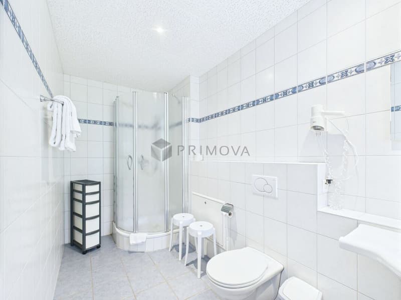 Hotel & Ristorante con appartamenti, vigneto e terreno edificabile in posizione premium sul lago di Walensee (20)