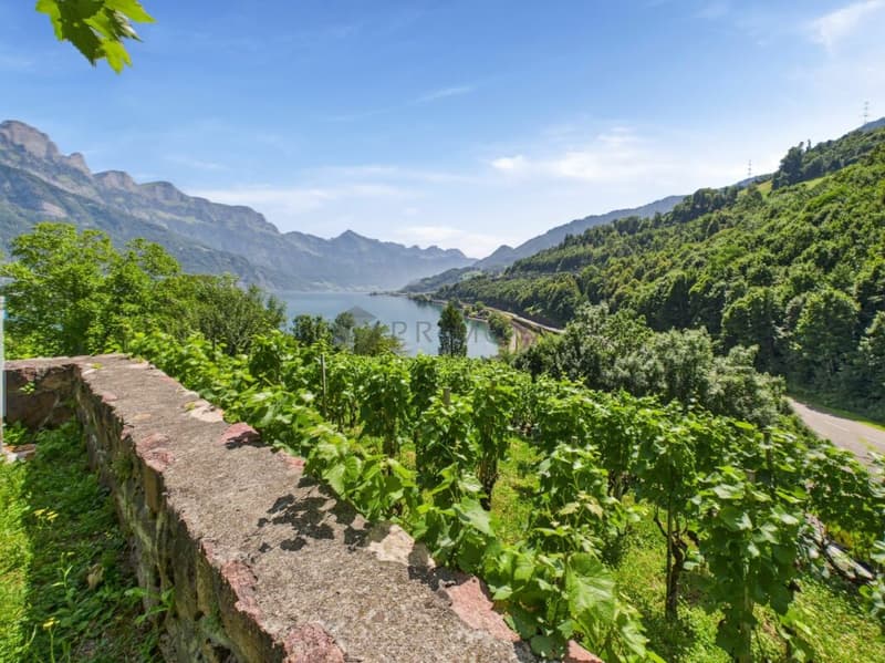 Hotel & Ristorante con appartamenti, vigneto e terreno edificabile in posizione premium sul lago di Walensee (6)