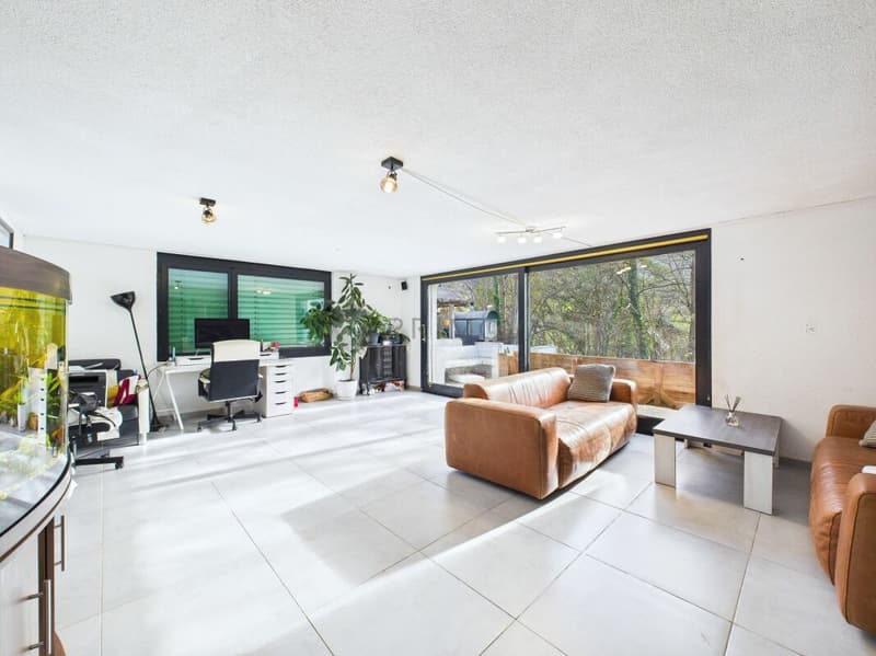 Unparalleled Silenen Villa seeking new owner (6)