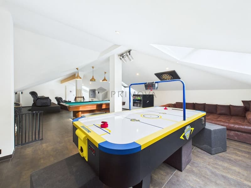 Unparalleled Silenen Villa seeks new owner (4)