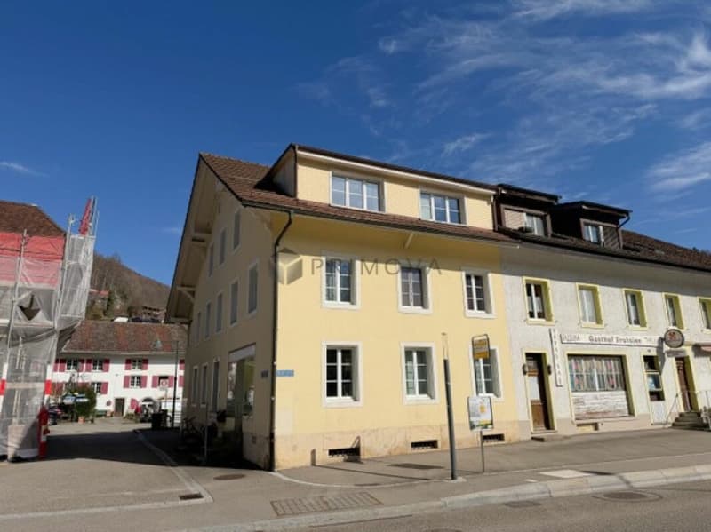 Multi-generation house or rental property in Langenbruck (3)