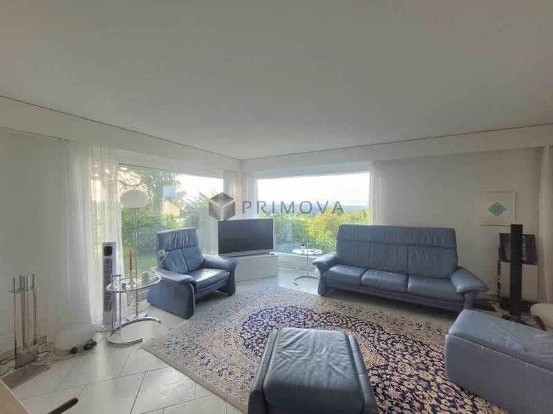 Vivere con stile con vista sul lago e giardino privato (4)