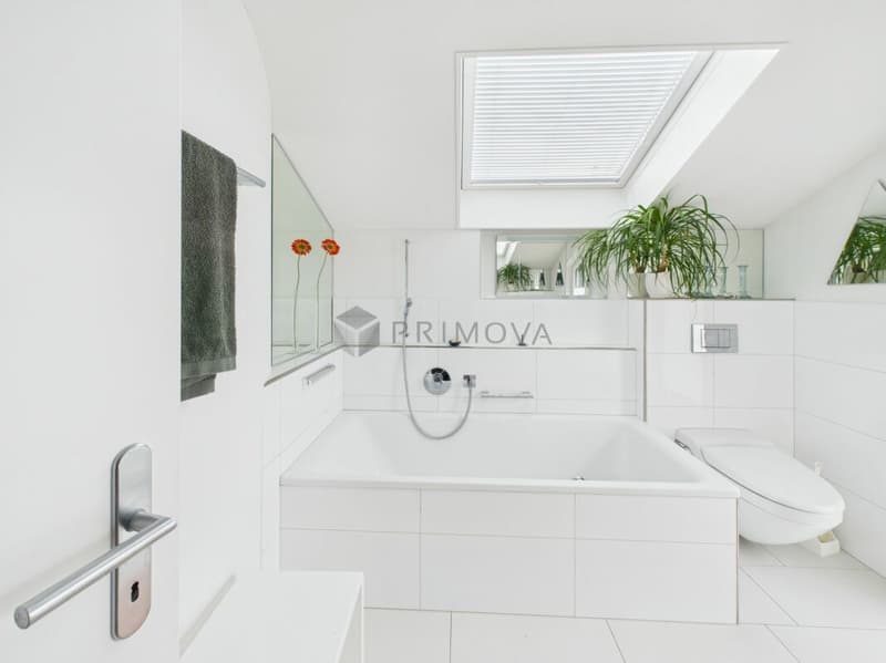 Vivere con stile con vista sul lago e giardino privato (8)