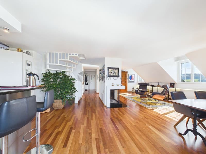 Light, Space and Emotions - Your New Home Above the Roofs (1)