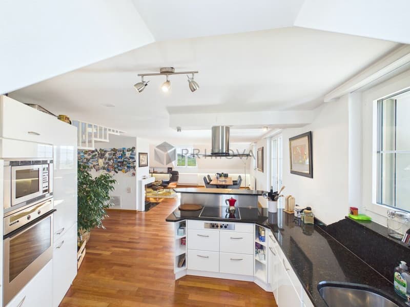 Light, Space and Emotions - Your New Home Above the Roofs (7)