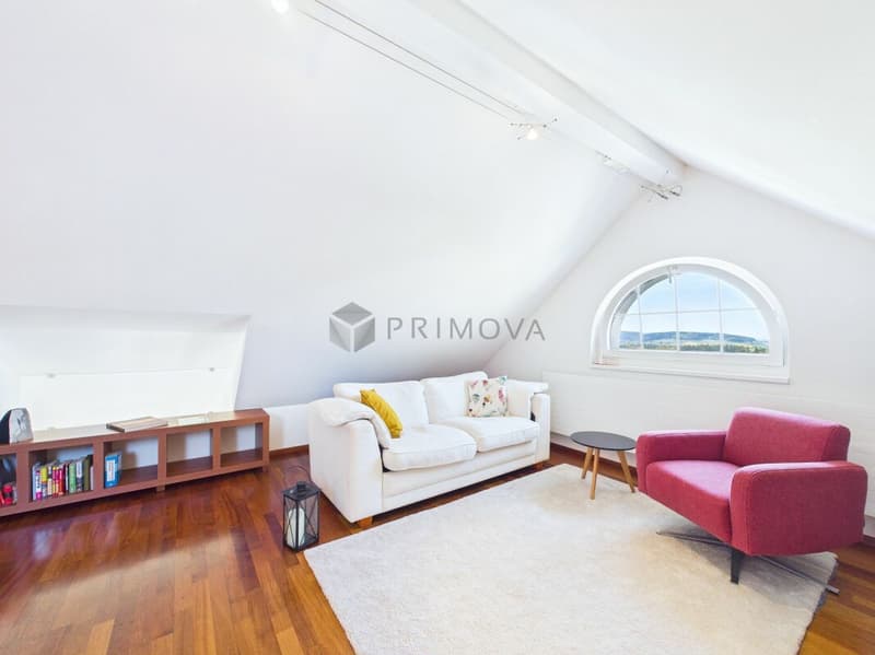 Light, Space and Emotions - Your New Home Above the Roofs (14)