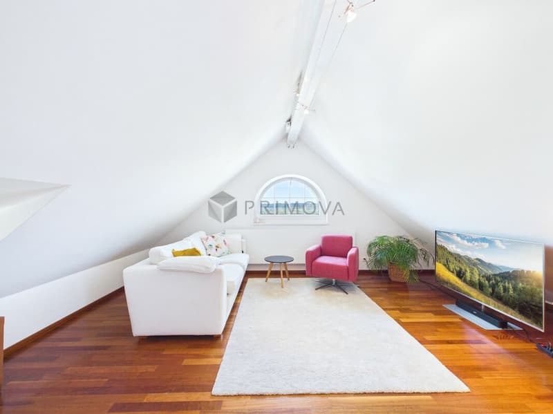 Light, Space and Emotions - Your New Home Above the Roofs (15)