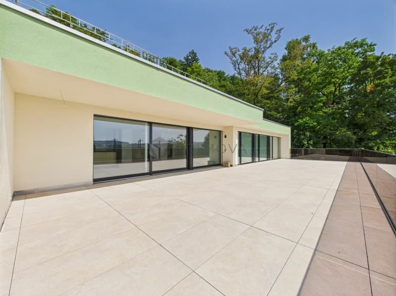 Assicurati il tuo primo affitto per un appartamento di lusso con terrazza ora! (11)