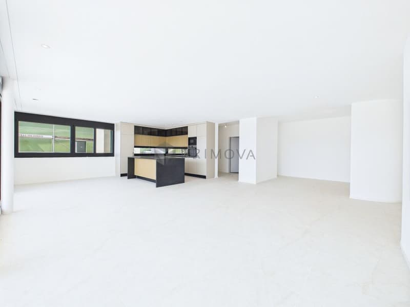 Assicurati il tuo primo affitto per un appartamento di lusso con terrazza ora! (2)
