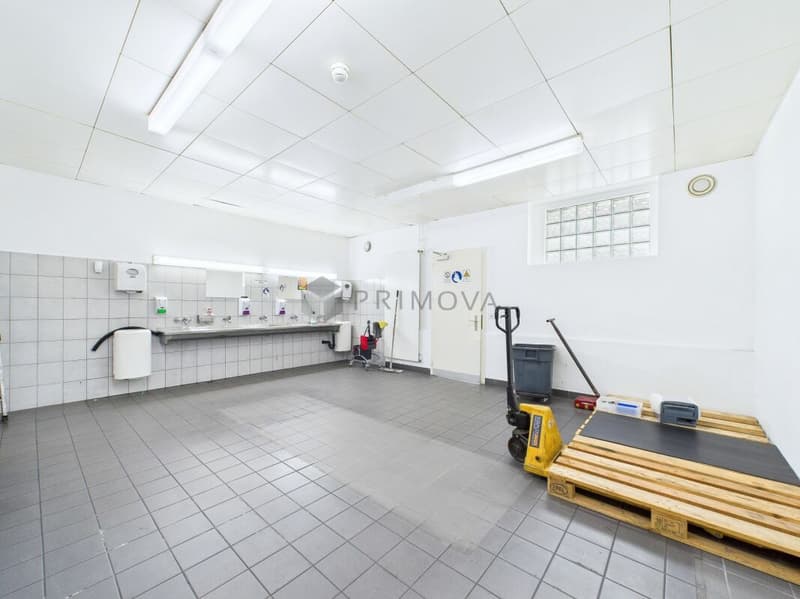Spacious property with numerous possibilities - Commercial property with Lake Constance charm (8)