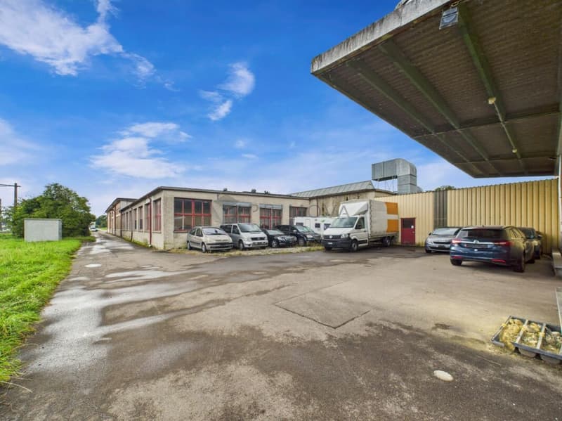 Spacious property with numerous possibilities - Commercial property with Lake Constance charm (14)