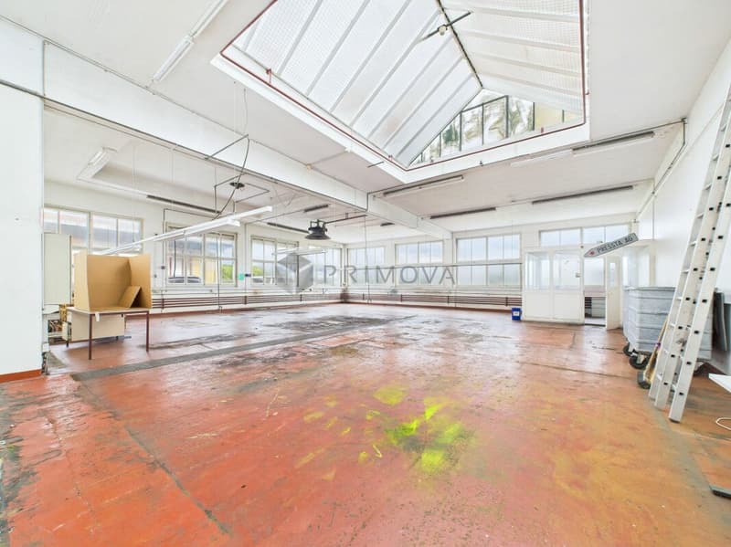 Spacious property with numerous possibilities - Commercial property with Lake Constance charm (5)