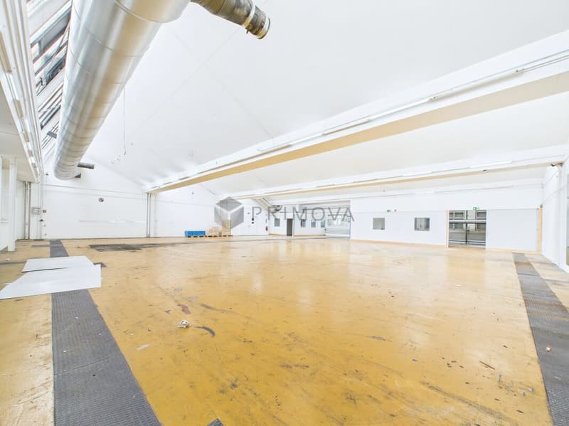 Spacious property with numerous possibilities - Commercial property with Lake Constance charm (3)