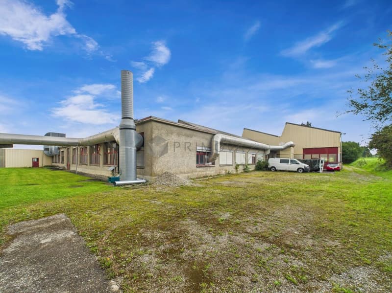 Spacious property with numerous possibilities - Commercial property with Lake Constance charm (19)
