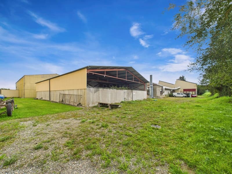 Spacious property with numerous possibilities - Commercial property with Lake Constance charm (18)