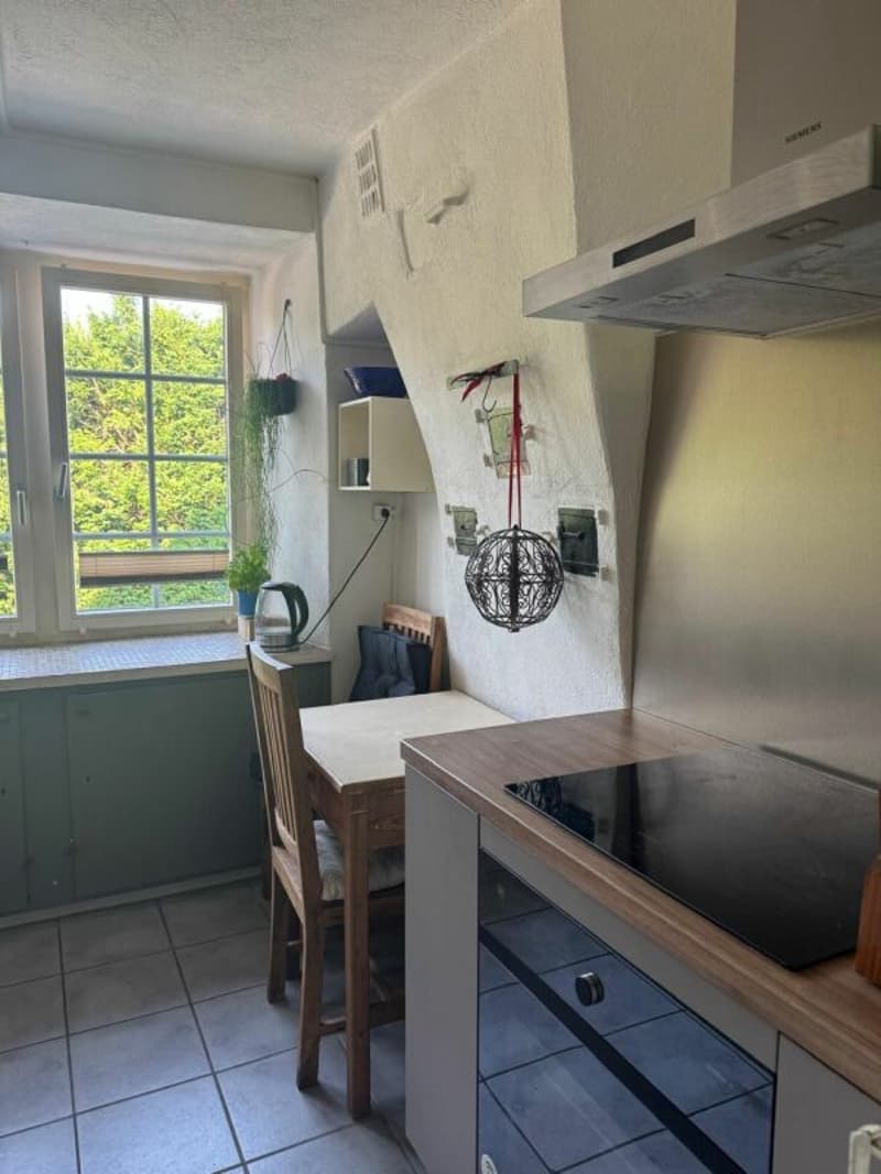 Living with character - stylish 6.5 room apartment on Lake Zurich (5)