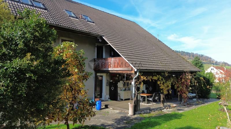 Plus qu'une ferme - une occasion rare avec avenir (9)