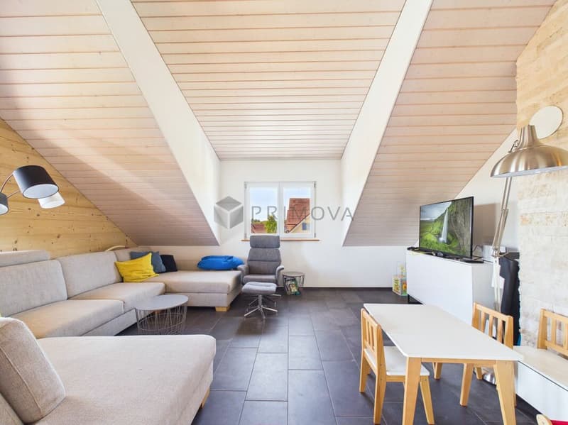 A dream home for the whole family (2)