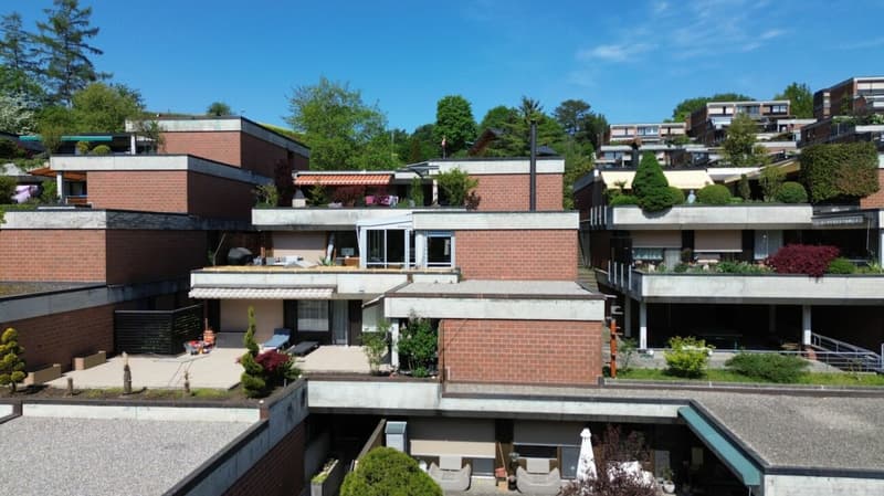 Modernized Terrace Jewel (10)
