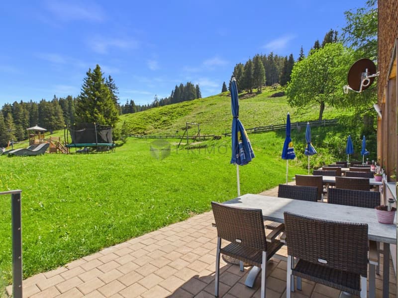 Albergo di montagna Schönhalden con sua funivia (16)