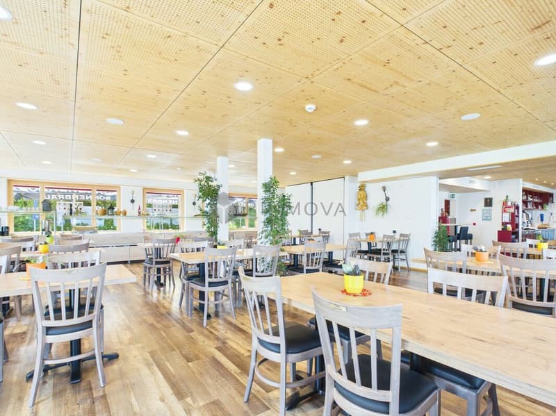 Albergo di montagna Schönhalden con sua funivia (9)