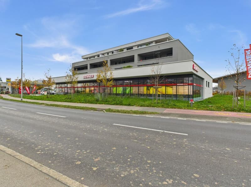 Stylish and nearly new living experience with a grandiose XXL terrace (13)