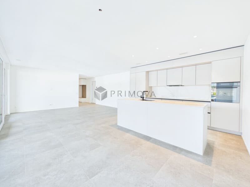 Stylish and nearly new living experience with a grandiose XXL terrace (3)