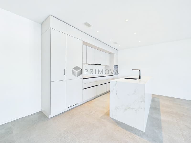 Stylish and nearly new living experience with a grandiose XXL terrace (5)