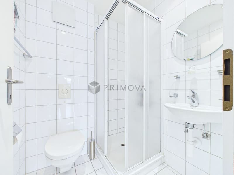 New 5.5 room apartment near the lake and old town in Murten (10)