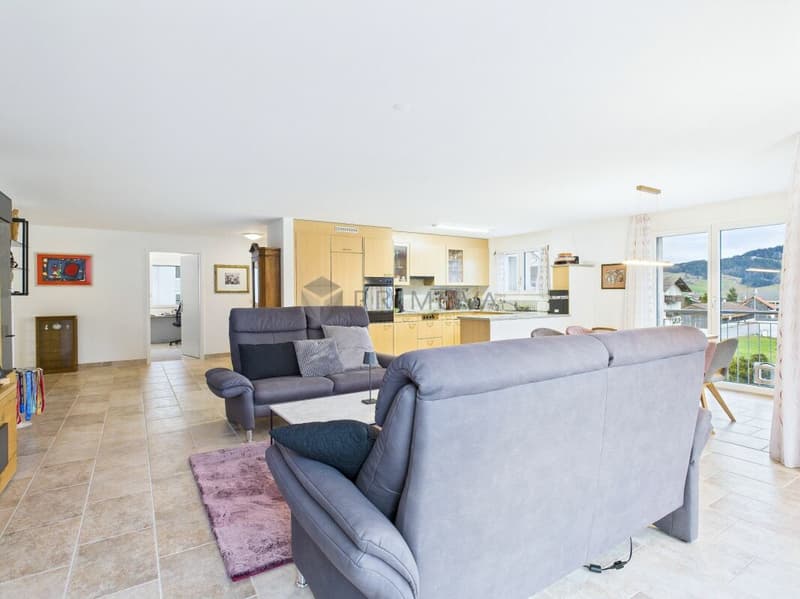 Unique opportunity: Bright apartment with panoramic views of the lake and mountains on the sunny Sihlebene. (3)