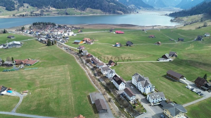 Unique opportunity: Bright apartment with panoramic views of the lake and mountains on the sunny Sihlebene. (14)