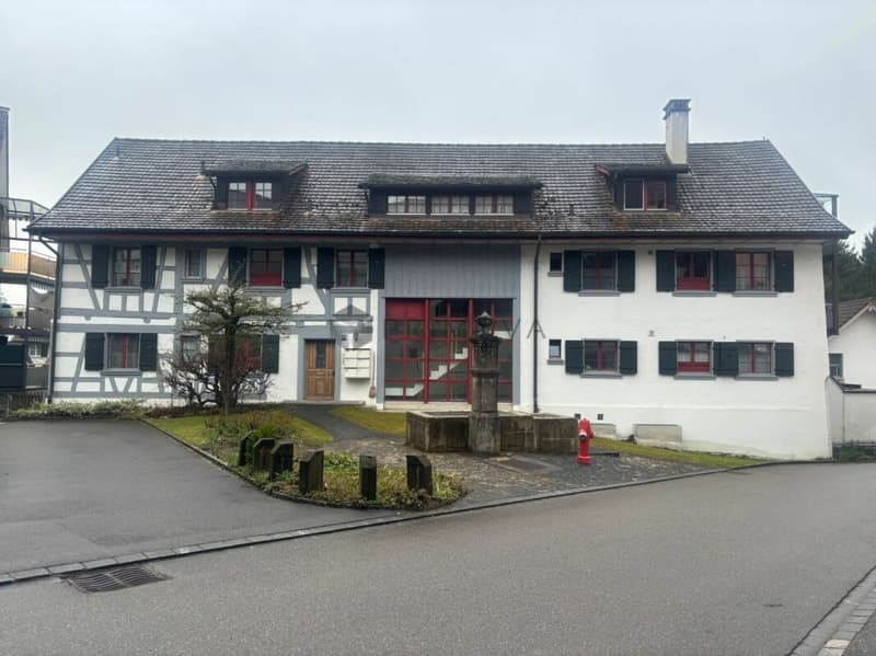 Historisches Mehrfamilienhaus mit Charme und Entwicklungspotenzial (1)